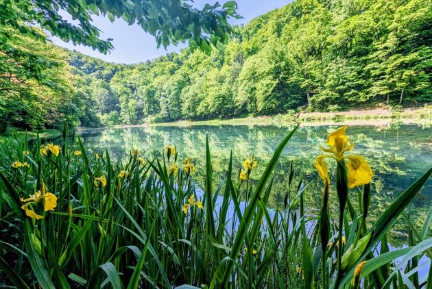 Aktivan odmor u novoj turističkoj destinaciji Vrata Papuka: planinarenje, bicikliranje i boravak u prirodi