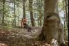 Bike park na 25 minuta od Zagreba…