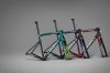 S-Works Tarmac SL8 Frameset Ekipa