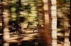 Specialized Creo 2