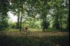 2023 Roubaix - najjači cestovni endurance?