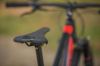 Wilier Triestina FX 110