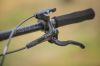 Wilier Triestina FX 110